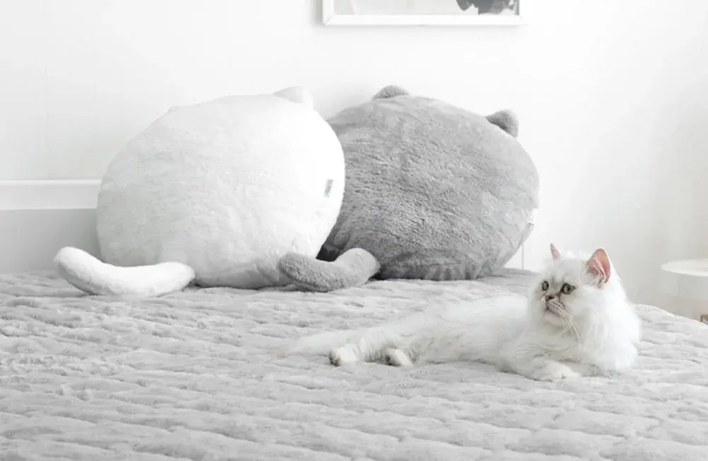 2月22日「猫の日」まで猫好きキャンペーンを開催！累計販売3.7万枚突破の「もはや、ねこ。」が特別価格に 画像 6