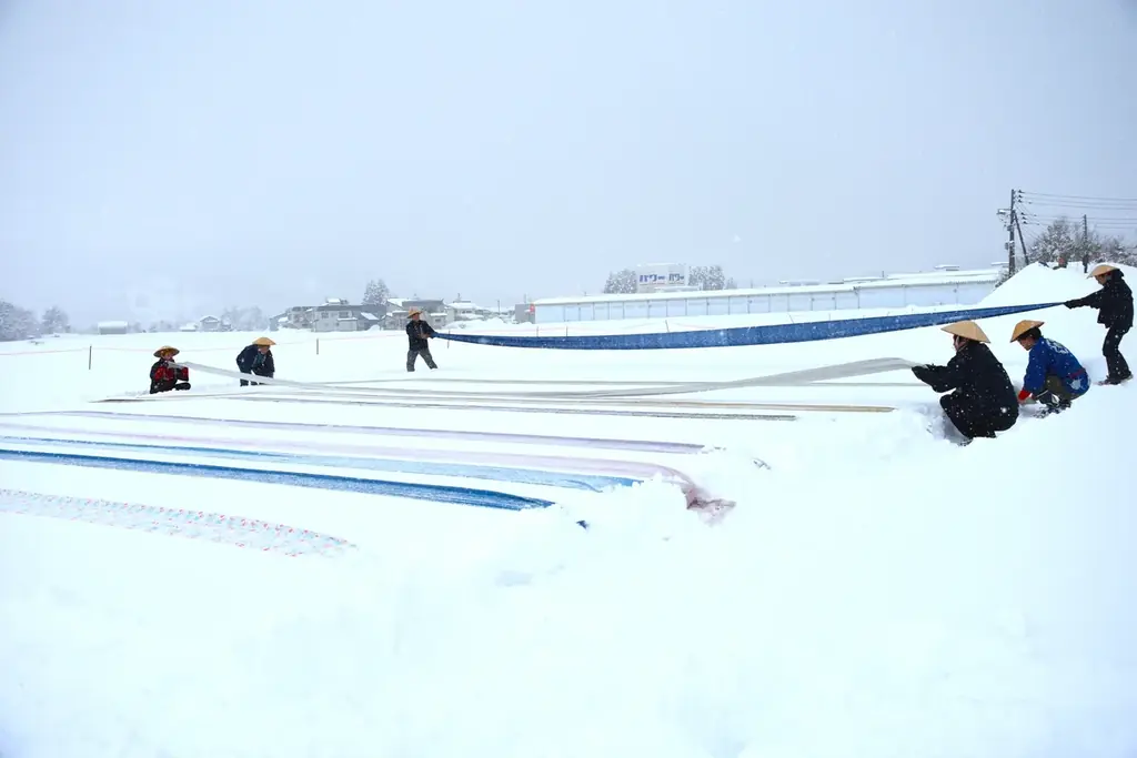 【新潟県小千谷市】まもなく開幕！本州唯一の雪上気球大会「第50回記念大会おぢや風船一揆」最新プログラム発表（2月21・22日開催） 画像 11