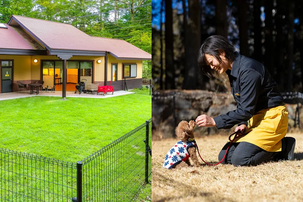 【最大５頭まで愛犬宿泊料金無料！】愛犬とのリゾート滞在をさらに快適・お得に。富士山麓、フジプレミアムリゾート・フォレストヴィレッジ「多頭飼いオーナー様 応援キャンペーン」を開始 画像 3