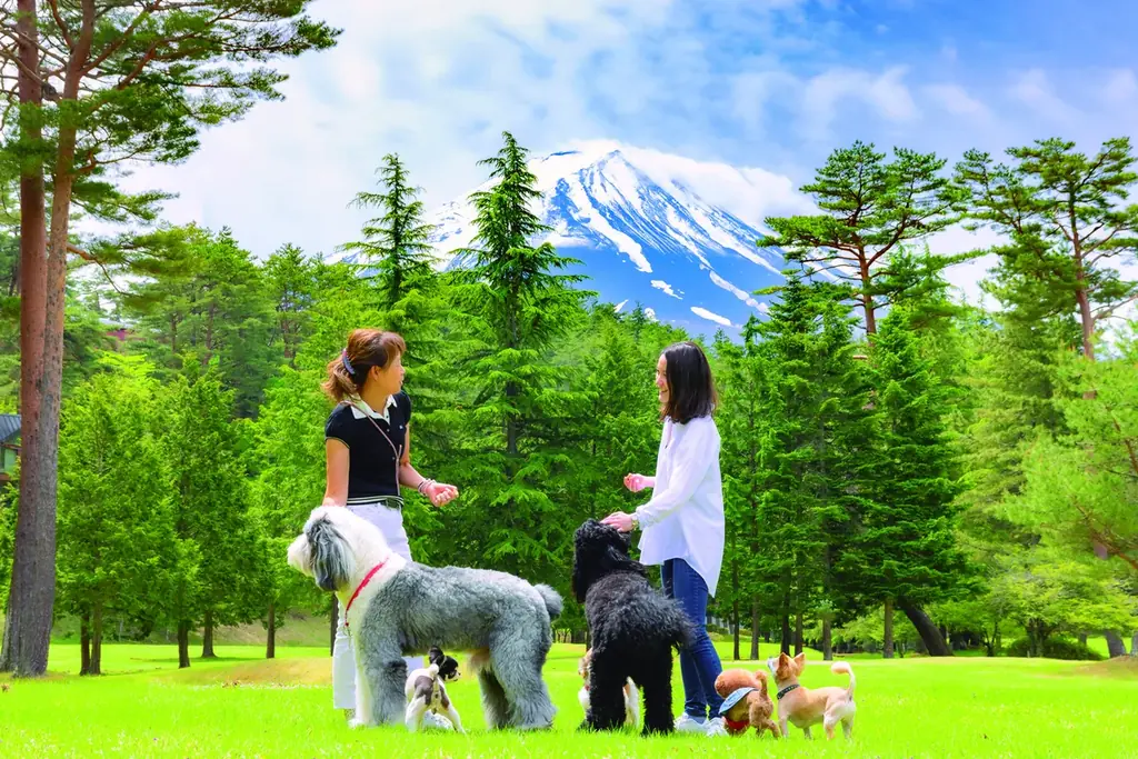 【最大５頭まで愛犬宿泊料金無料！】愛犬とのリゾート滞在をさらに快適・お得に。富士山麓、フジプレミアムリゾート・フォレストヴィレッジ「多頭飼いオーナー様 応援キャンペーン」を開始 画像 5