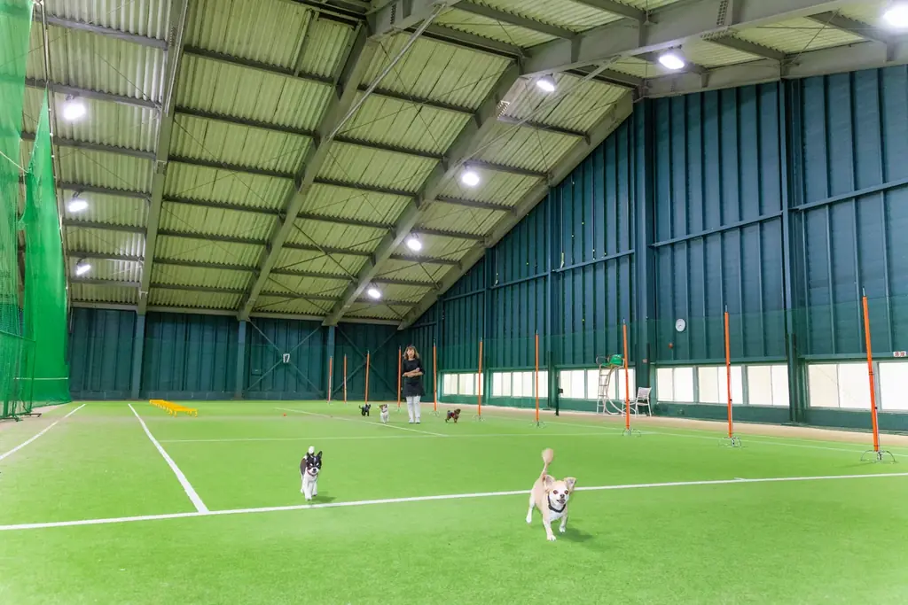 【最大５頭まで愛犬宿泊料金無料！】愛犬とのリゾート滞在をさらに快適・お得に。富士山麓、フジプレミアムリゾート・フォレストヴィレッジ「多頭飼いオーナー様 応援キャンペーン」を開始 画像 6