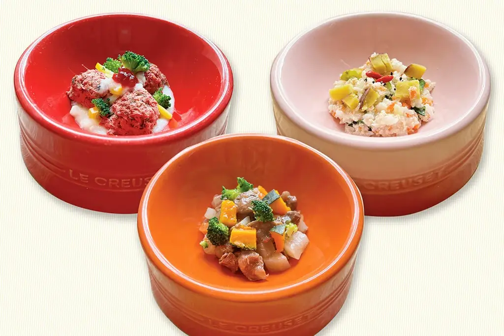 【最大５頭まで愛犬宿泊料金無料！】愛犬とのリゾート滞在をさらに快適・お得に。富士山麓、フジプレミアムリゾート・フォレストヴィレッジ「多頭飼いオーナー様 応援キャンペーン」を開始 画像 9