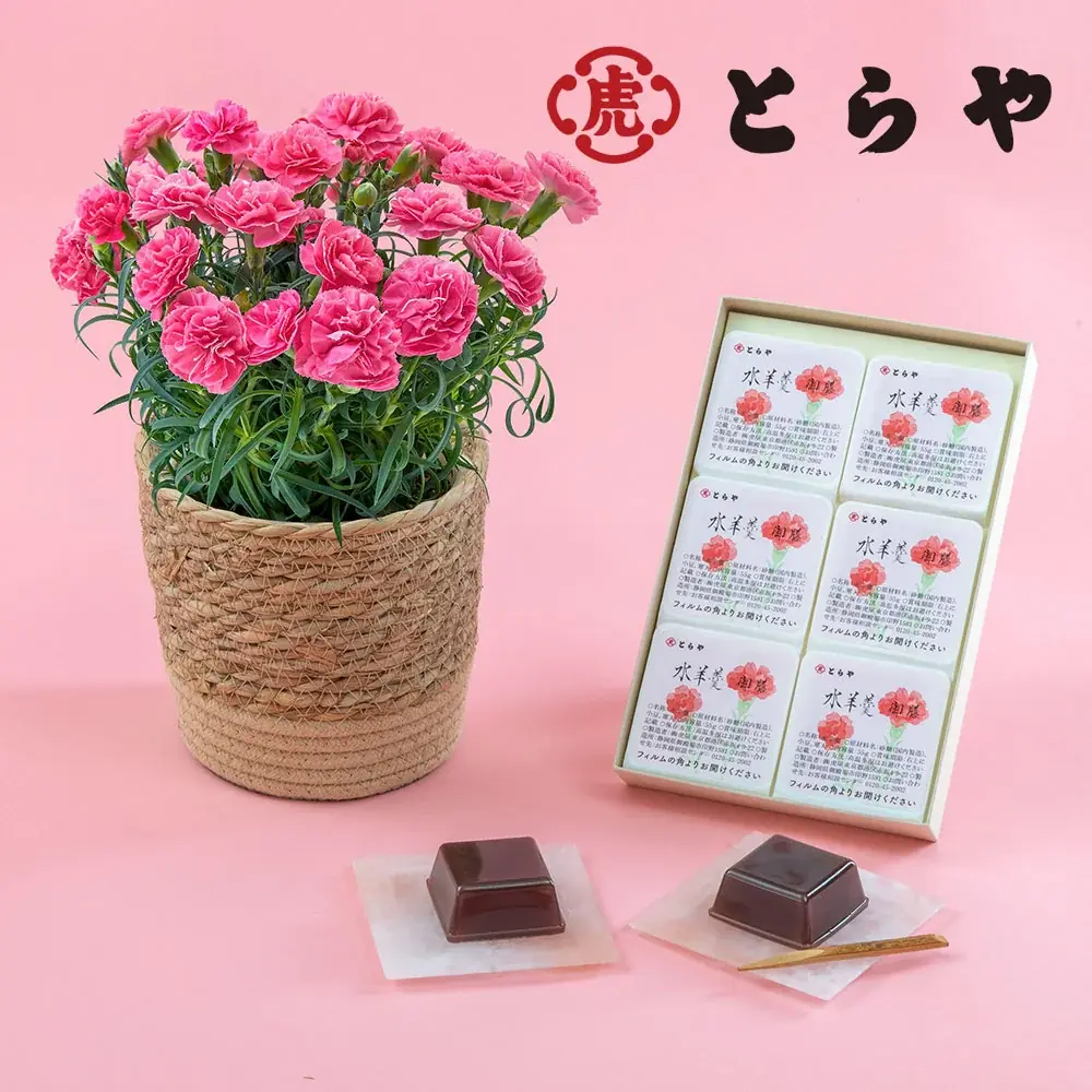 国産花材商品を大幅拡充、産地のこだわりと想いを届ける母の日ギフトの予約販売を日比谷花壇オンラインショップで開始。人気イラストレーター湯浅望氏とのコラボギフトも登場！ 画像 20