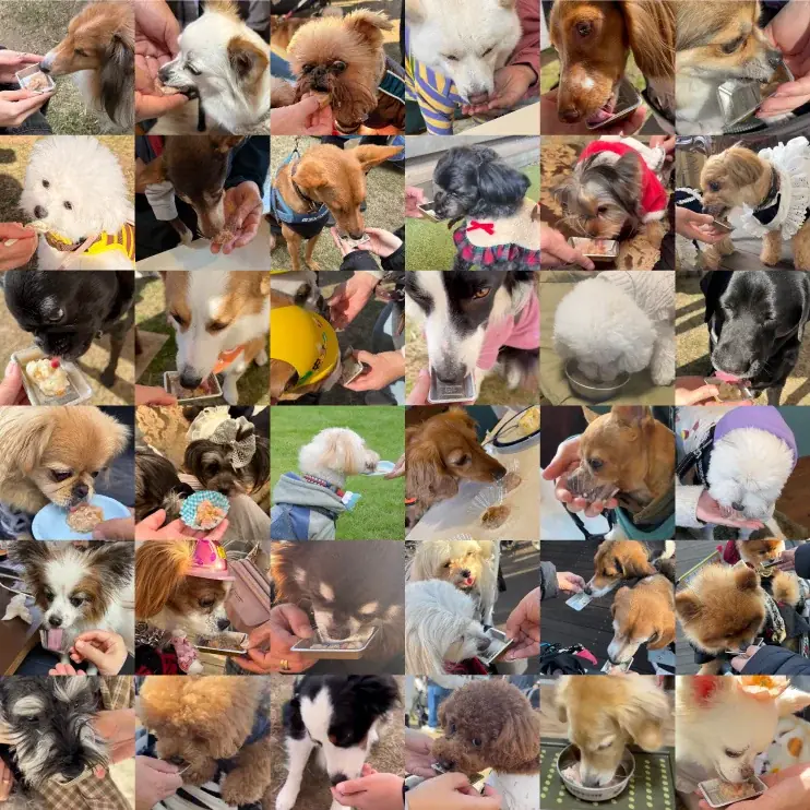 【ウェットフードの新常識】電子レンジ対応パウチ「HEKAグレインフリードッグウェットフード」｜はごろもフーズ株式会社×獣医師の共同開発商品　2026年3月5日(木)新発売 画像 6