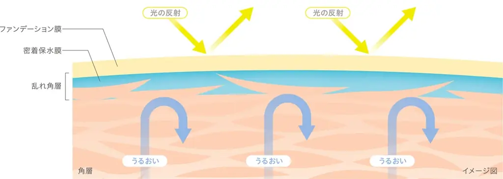 約0.02mmの角層に着目。１日メイクくずさない。角層ケア*¹下地、誕生。生ツヤ肌*²つづく「ソフィーナ　プリマヴィスタ　角層保水プライマー」 画像 4
