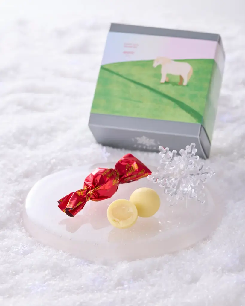 【新店OPEN】チョコレートとラスクのお店「ナナイロスノー」小樽本店2/20グランドオープン！！ 画像 4