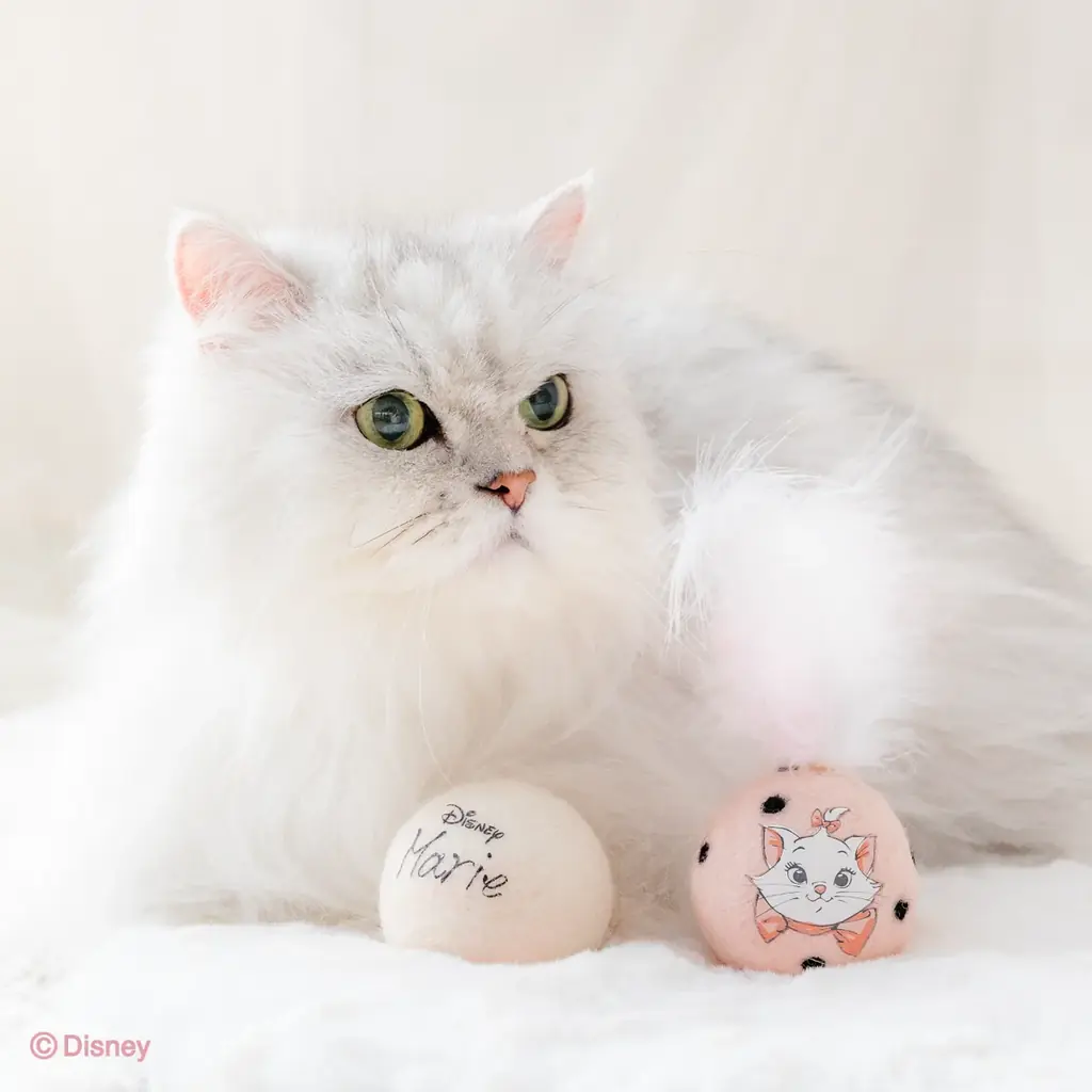 ディズニー映画「おしゃれキャット」の『マリー』をデザイン大人っぽく進化した猫用グッズ2026春夏コレクション発売 画像 4