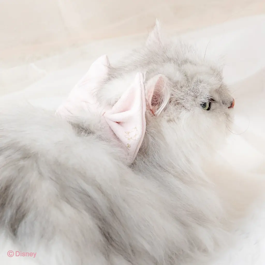 ディズニー映画「おしゃれキャット」の『マリー』をデザイン大人っぽく進化した猫用グッズ2026春夏コレクション発売 画像 6