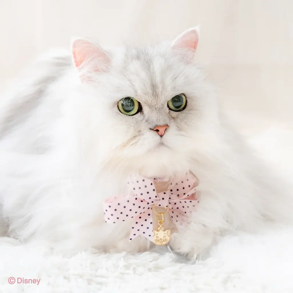 ディズニー映画「おしゃれキャット」の『マリー』をデザイン大人っぽく進化した猫用グッズ2026春夏コレクション発売 画像 7