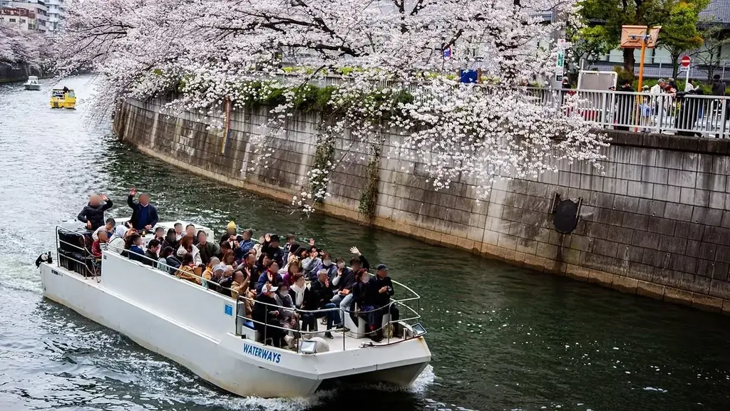 【2026年お花見】目黒川の桜を「水上の特等席」で。グッドデザイン賞受賞船でのBARクルーズや貸切プランが登場｜予約受付開始 画像 2