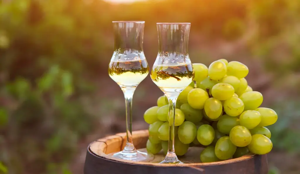 【350本限定】ぶどうの香りの限界に挑んだ国産ブランデー「VINE-YARD 12」を販売開始 画像 4