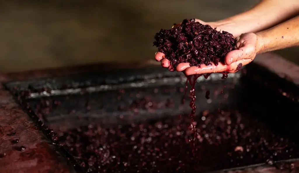 【350本限定】ぶどうの香りの限界に挑んだ国産ブランデー「VINE-YARD 12」を販売開始 画像 6