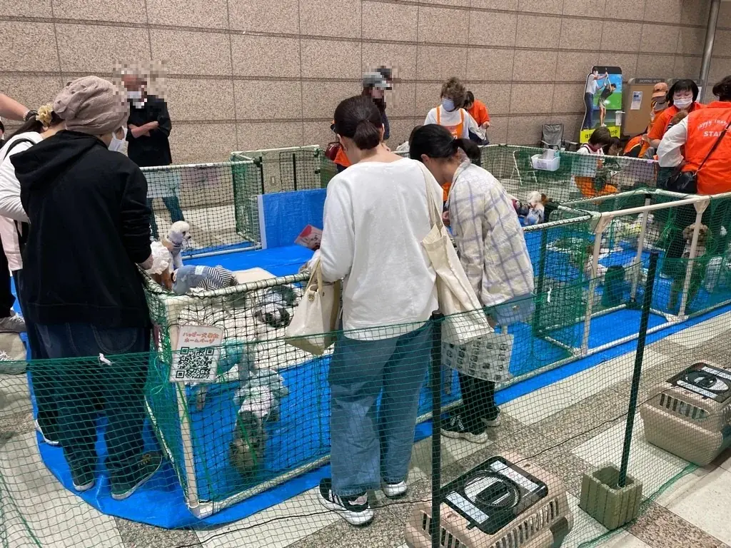 【行政連携初】猫関連店舗以外で異例の実施。入間市×ファミリーマート、高齢化社会の「ペット取り残され問題」に挑む 画像 3