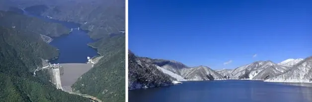 【岐阜・揖斐】圧巻の「桜のトンネル」から清々しい新緑まで。春の訪れを告げる、揖斐エリアの厳選スポットをご紹介雪解けの「天空の茶畑」や この時期しか出会えない幻の伝統野菜など 画像 14