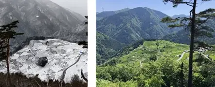 【岐阜・揖斐】圧巻の「桜のトンネル」から清々しい新緑まで。春の訪れを告げる、揖斐エリアの厳選スポットをご紹介雪解けの「天空の茶畑」や この時期しか出会えない幻の伝統野菜など 画像 4