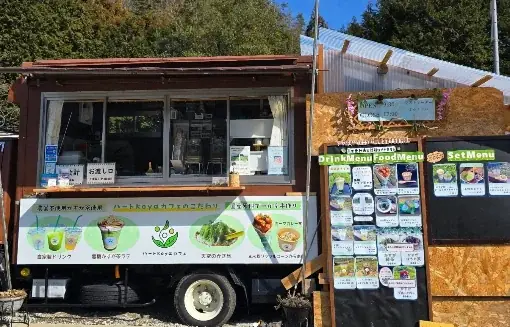 【岐阜・揖斐】圧巻の「桜のトンネル」から清々しい新緑まで。春の訪れを告げる、揖斐エリアの厳選スポットをご紹介雪解けの「天空の茶畑」や この時期しか出会えない幻の伝統野菜など 画像 5