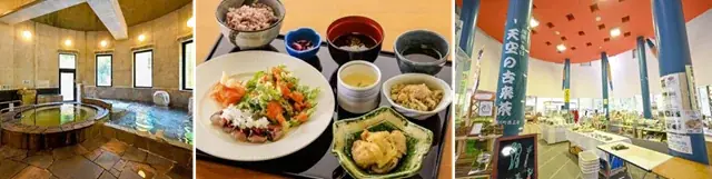 【岐阜・揖斐】圧巻の「桜のトンネル」から清々しい新緑まで。春の訪れを告げる、揖斐エリアの厳選スポットをご紹介雪解けの「天空の茶畑」や この時期しか出会えない幻の伝統野菜など 画像 6