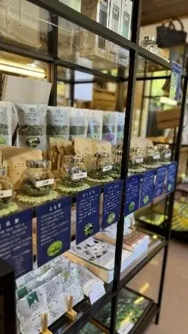 【岐阜・揖斐】圧巻の「桜のトンネル」から清々しい新緑まで。春の訪れを告げる、揖斐エリアの厳選スポットをご紹介雪解けの「天空の茶畑」や この時期しか出会えない幻の伝統野菜など 画像 8