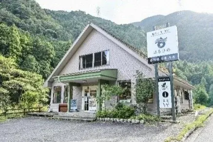 【岐阜・揖斐】圧巻の「桜のトンネル」から清々しい新緑まで。春の訪れを告げる、揖斐エリアの厳選スポットをご紹介雪解けの「天空の茶畑」や この時期しか出会えない幻の伝統野菜など 画像 9