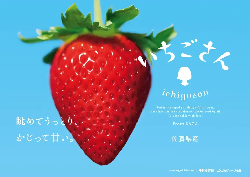 赤・白・ピンク！佐賀のいちご8品種を食べ比べ！！大人気イベントが3年ぶりに帰ってくる！！ 画像 2