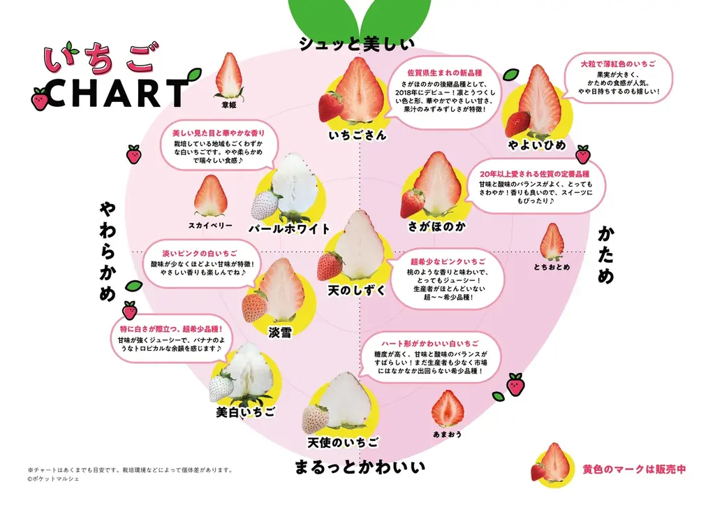 赤・白・ピンク！佐賀のいちご8品種を食べ比べ！！大人気イベントが3年ぶりに帰ってくる！！ 画像 5