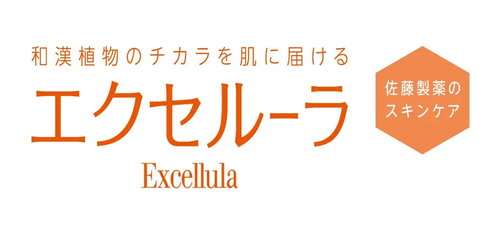 Excellula Visual & Merchandising Evolution　「エクセルーラ ブランド・エボリューション」 画像 2