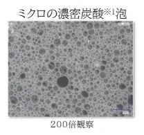 大好評の濃密炭酸※1泡洗顔に、炭※2＋クレイ※3の吸着力をプラスしたさっぱりタイプ「エクセルーラ ムースウォッシュ ディープクリア」〈洗顔料・洗い流し用パック〉新登場 画像 3