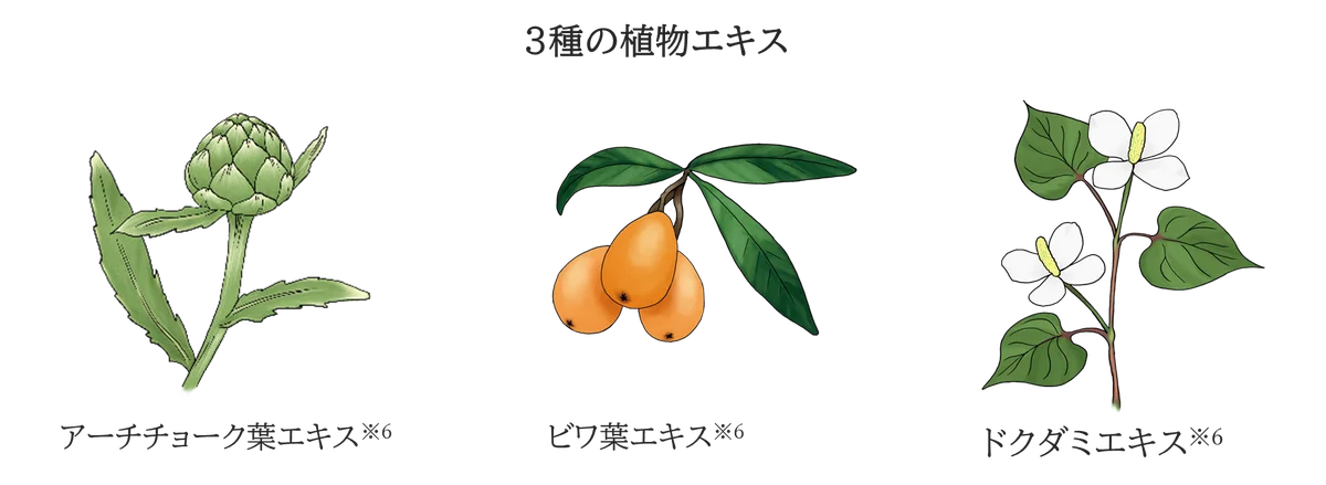 大好評の濃密炭酸※1泡洗顔に、炭※2＋クレイ※3の吸着力をプラスしたさっぱりタイプ「エクセルーラ ムースウォッシュ ディープクリア」〈洗顔料・洗い流し用パック〉新登場 画像 4