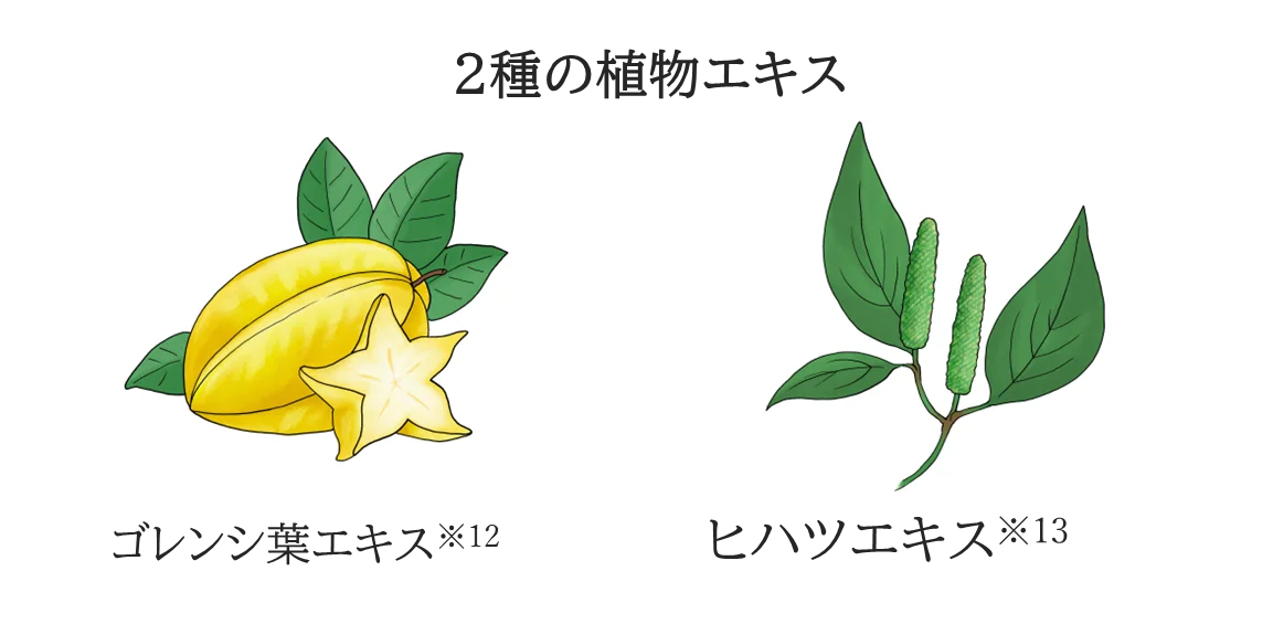 大好評の濃密炭酸※1泡洗顔に、炭※2＋クレイ※3の吸着力をプラスしたさっぱりタイプ「エクセルーラ ムースウォッシュ ディープクリア」〈洗顔料・洗い流し用パック〉新登場 画像 6