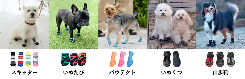 御堂筋で犬の靴を試着できる体験型イベント、3月7日・8日に開催 画像 2