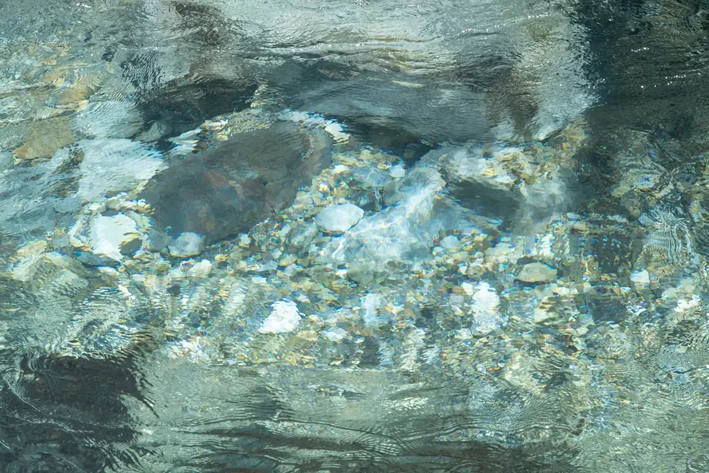 【3月14日 OPEN】水と草木のサウナ｜1日2組限定のリトリート施設『THE WATERS』が岐阜・円原川のほとりに誕生 画像 11