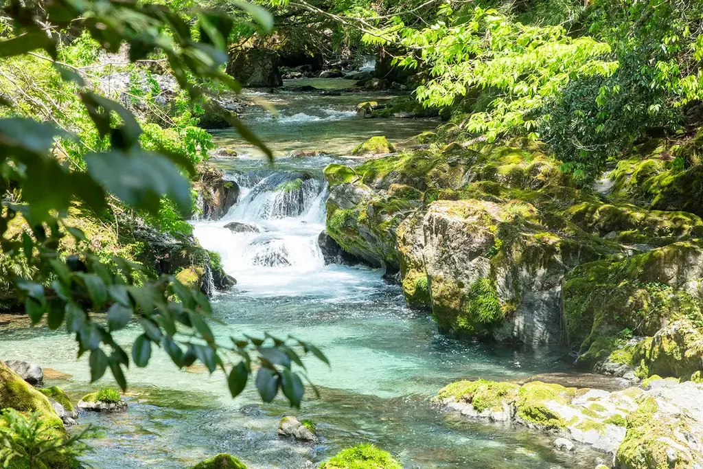 【3月14日 OPEN】水と草木のサウナ｜1日2組限定のリトリート施設『THE WATERS』が岐阜・円原川のほとりに誕生 画像 9