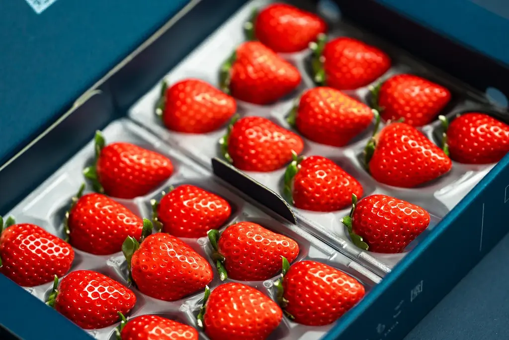 大人気イベントが3年ぶりに帰ってくる！佐賀のおいしいいちごが大集合！マルイファミリー溝口にて「佐賀いちごマルシェ」開催 画像 3