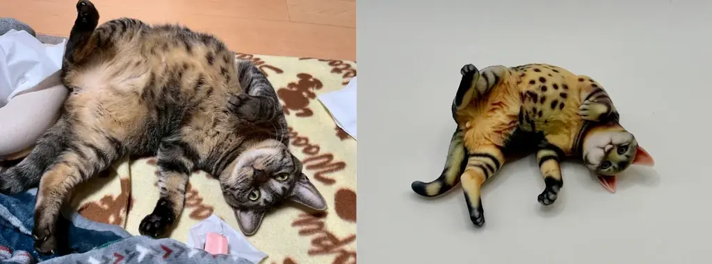 2/22(猫の日)に先駆けて、あなたのペットをそのままフィギュアできるサービス新登場！”先着50名無料キャンペーン”を開始！ 画像 6