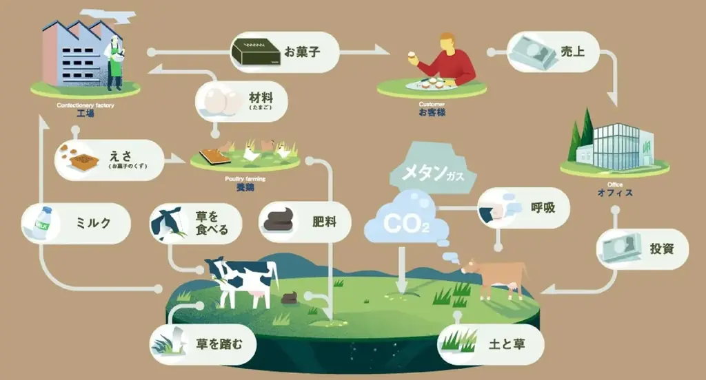 極限の“生”を追求した北海道発・発明的チーズケーキ「チーズワンダー」3月4日(水)～大丸札幌店にてPOP UP STORE開催！ 画像 13