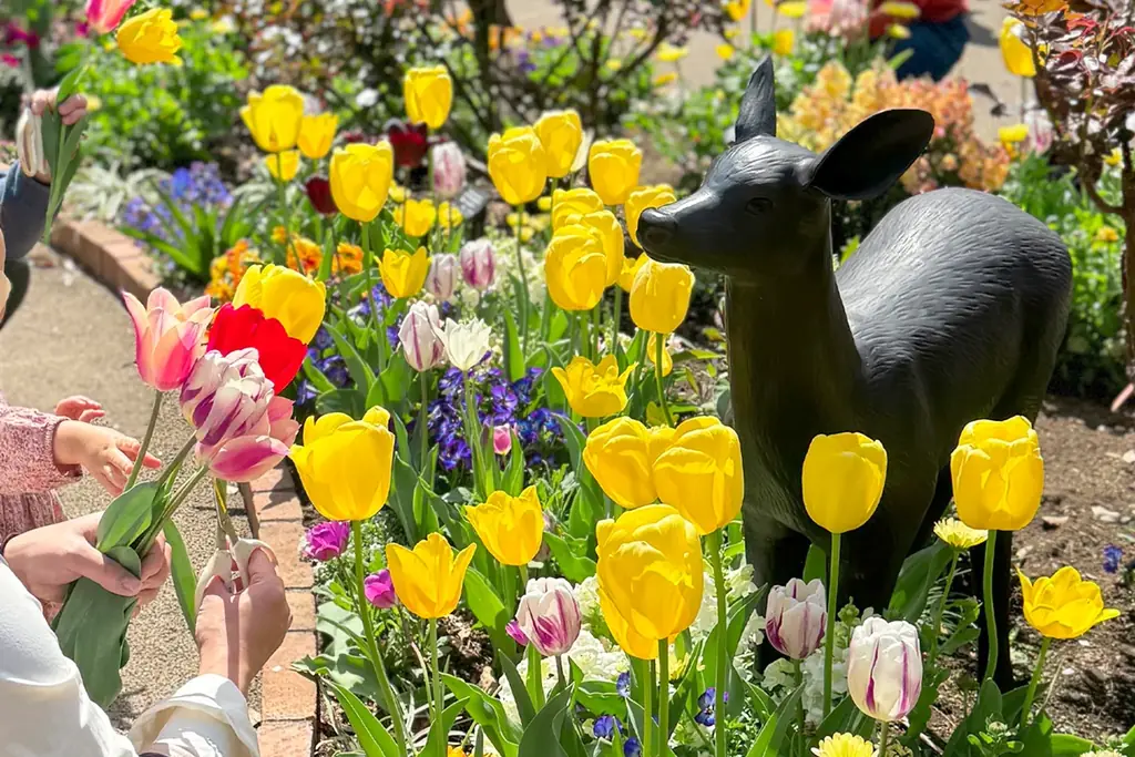 1万本のチューリップが春の訪れを彩る／練馬区立 四季の香ローズガーデン「2026ハッピーイースター」開催／3月21日（土）~4月12日（日） 画像 7