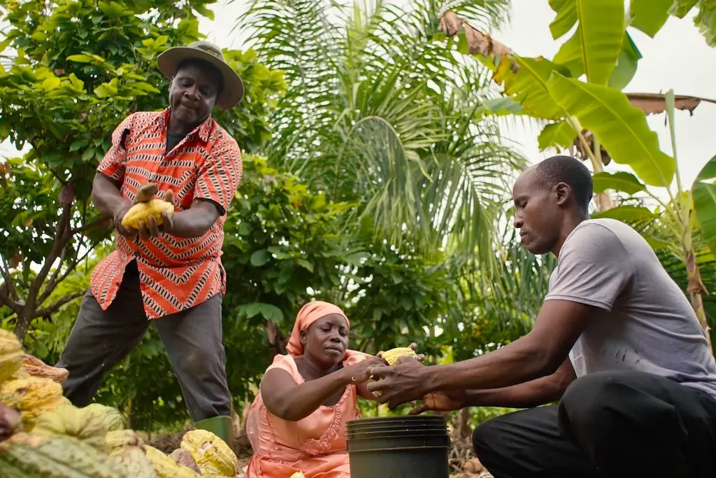 【最優秀作品受賞】 チョコレートハンター安達建之作品「The Taste of Nature Ⅱ 幻のカカオを探して」DocuVision International Film Festival‘26 画像 4