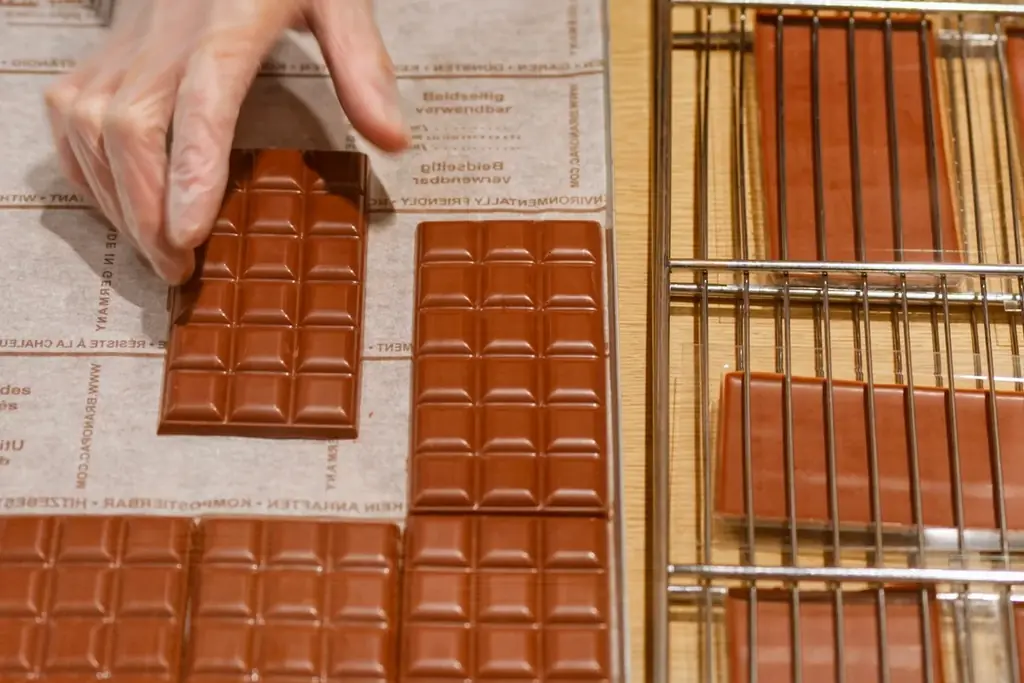 【最優秀作品受賞】 チョコレートハンター安達建之作品「The Taste of Nature Ⅱ 幻のカカオを探して」DocuVision International Film Festival‘26 画像 7