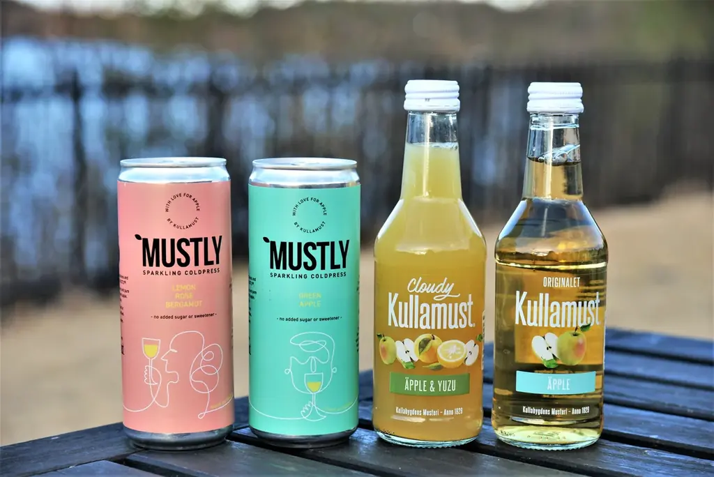 「東京都美術館開館100周年記念　スウェーデン絵画　北欧の光、日常のかがやき」開催記念！担当学芸員によるレクチャーと、スウェーデン輸入の雑貨・フードを楽しむコラボキャンペーンを実施 画像 6