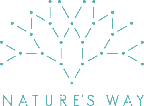 クリーミー泡で毛穴の黒ずみ*¹オフ。アメリカ発の世界的オーガニックボディケアブランド「ドクターブロナー」のマジックソープ季節限定フレグランス「アールグレイ」大容量サイズが、ポンプ付き限定セットで登場 画像 9