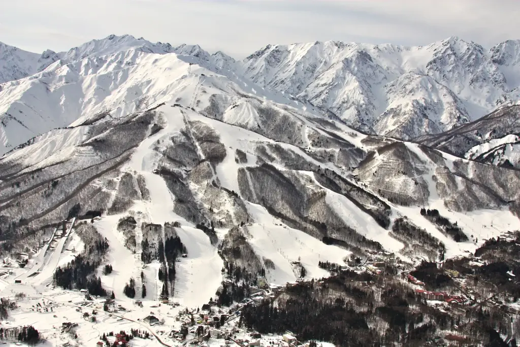 雪山のこたつで「ガツン、とみかん」！！ ゴロゴロ果肉で冬の贅沢な果実体験！ 2月23日（月）新発売「ガツン、と白桃」の先行試食も実施します♪ 画像 6