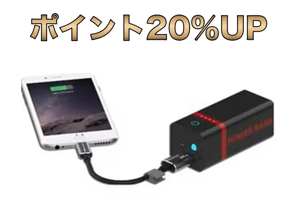 2月後半の『楽天お買い物マラソン』2月19日(木)20：00より開催！【磁気研究所/HIDISC】 画像 2
