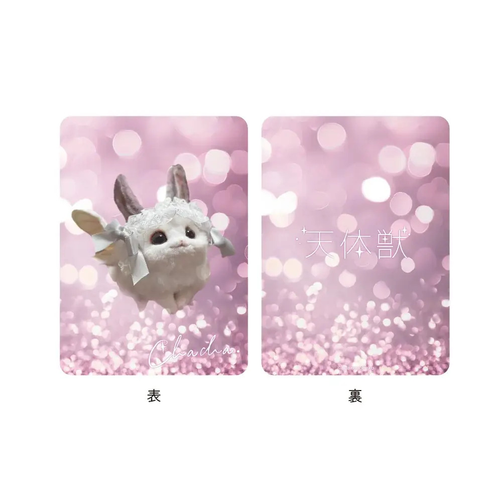 【茶々】×ヴィレッジヴァンガード 天体獣の可愛すぎるコラボグッズ発売決定！ 画像 3