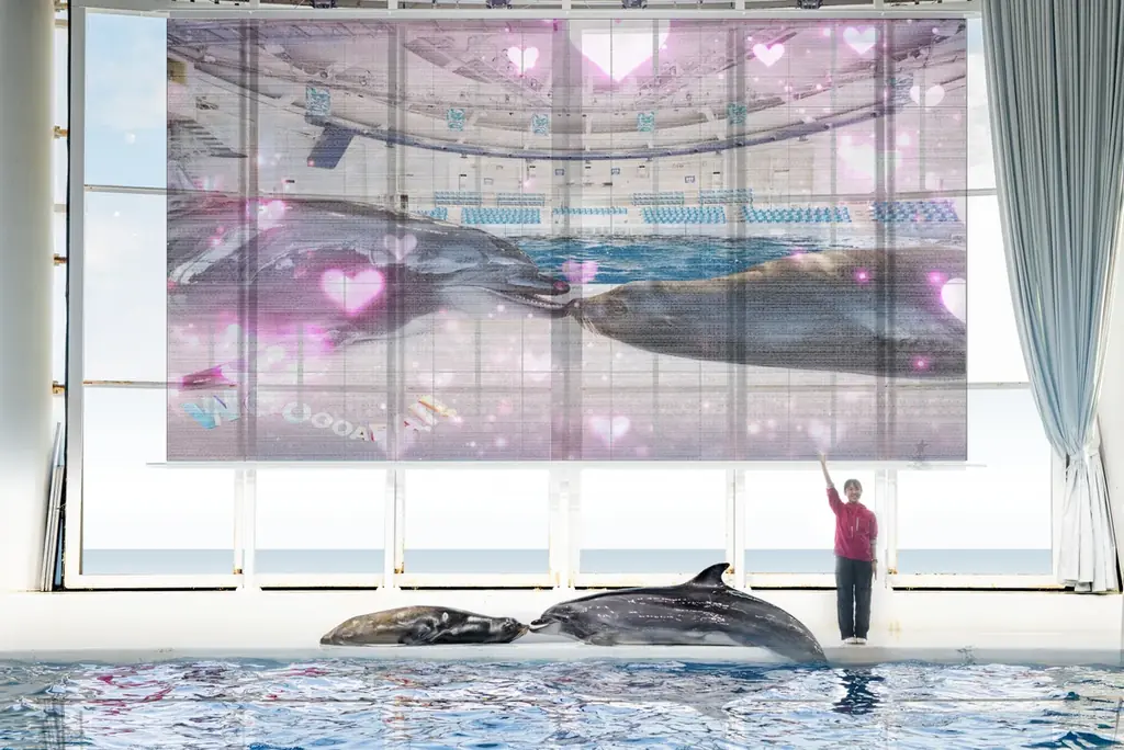 開館以来初！３月１２日(木)、イルカ・アシカオーシャンライブが大規模リニューアル！ 画像 5
