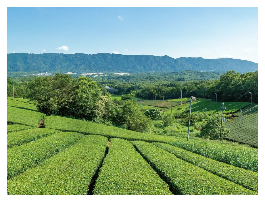 あべのハルカス近鉄本店 惣菜売場があべのハルカス開業以来 最大規模のリモデル！ 画像 6