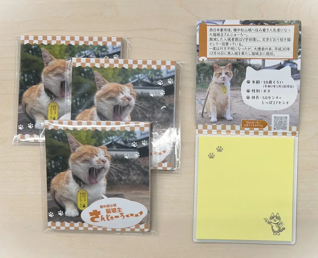 2月22日は「猫の日」！　「密着！猫城主さんじゅーろーの1日」ほか猫番組をたっぷり放送！ 画像 4