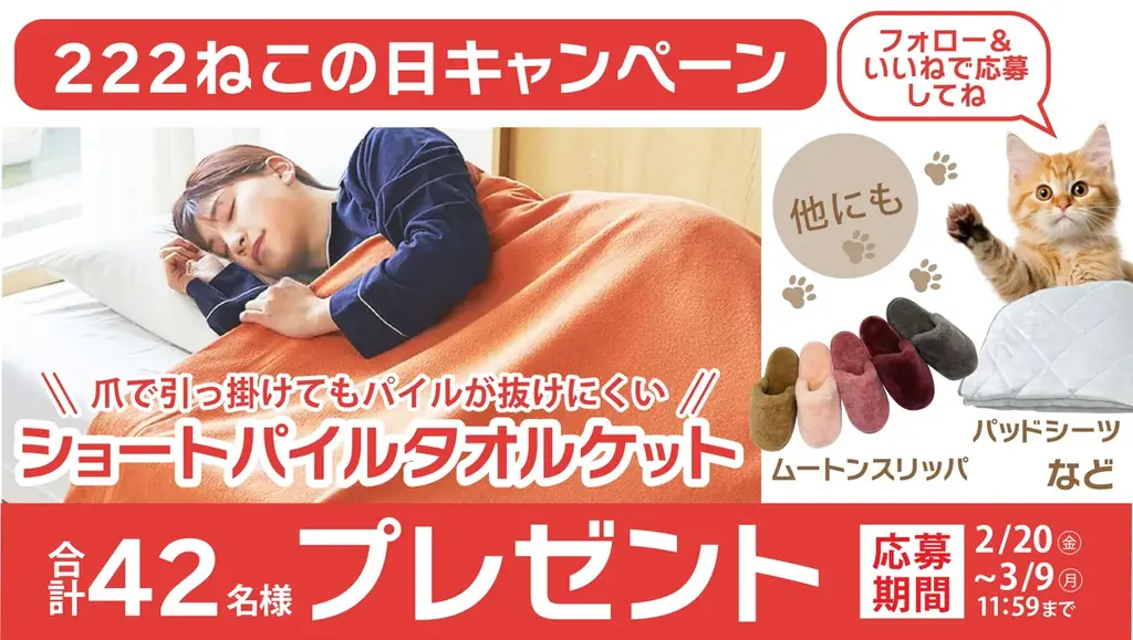 【2月22日は猫の日】42名に昭和西川の寝具をプレゼント！昭和西川公式Instagram ねこの日キャンペーンを実施！ 画像 1