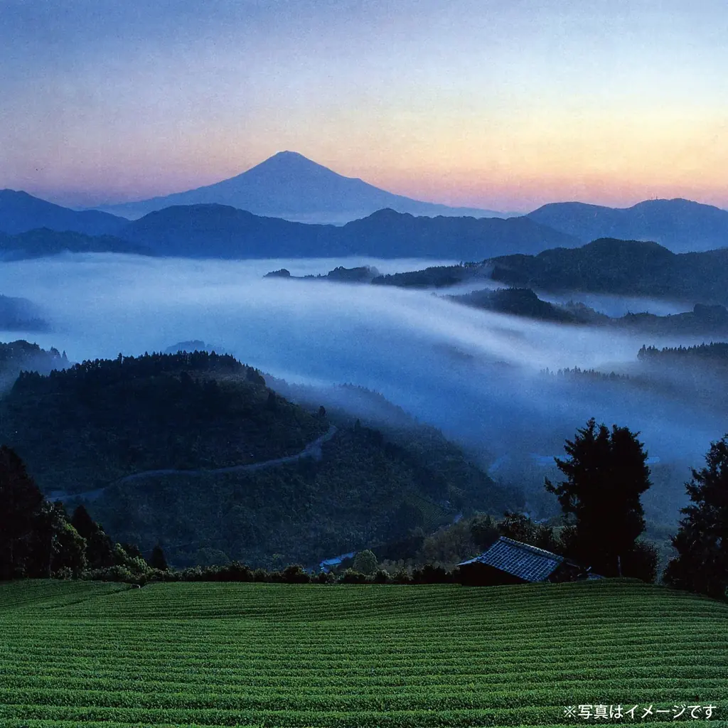 【新宿駅催事限定】「世にもおいしいチョコブラウニー」からプレミアムラインが新登場！「天空の抹茶Ⓡ」など素材と製法にこだわり抜いた“生チョコ”のような濃厚しっとり生食感ブラウニーをギフトBOXにて展開 画像 9