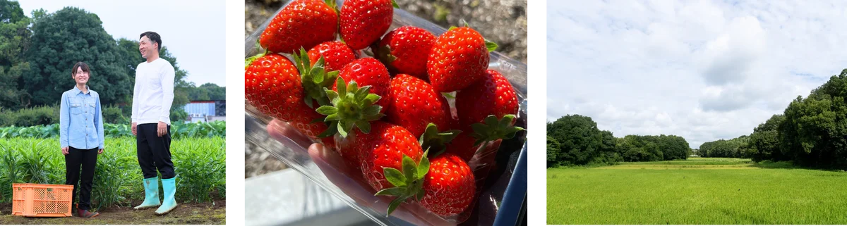 【千葉県柏市】＼農家応援企画／手賀沼の農コン FARMERS PARTY開催！ 画像 2