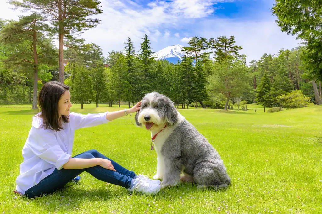 【フジプレミアムリゾート】富士山の恵みに感謝を込めて！2月23日「富士山の日」記念イベント開催 画像 15